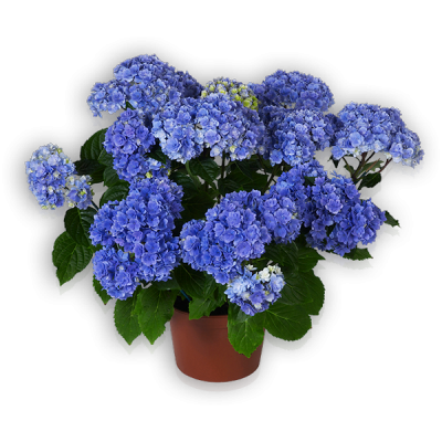 You & Me® Together(s) blau Topf