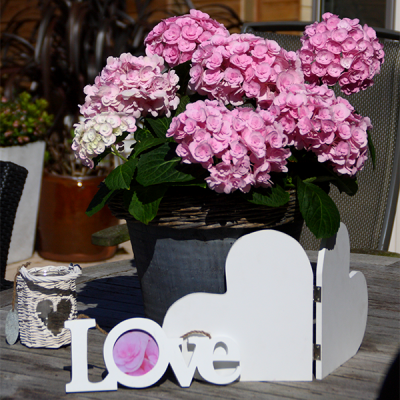 You & Me® Love(s)