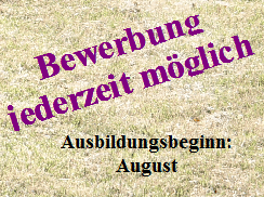 BewerbungPellens
