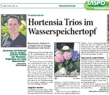 Die Taspo berichtet über Hortensia Trios im Wasserspeicher