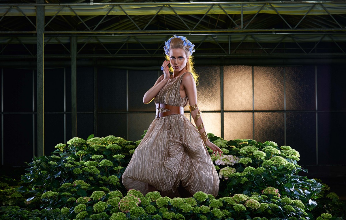 Woman in greenhouse between hydrangeas