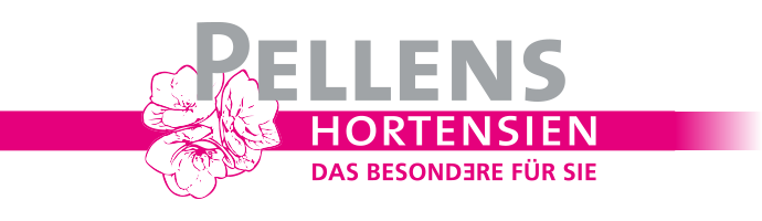 Pellens Hortensien