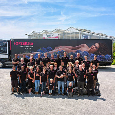 Pellens Team