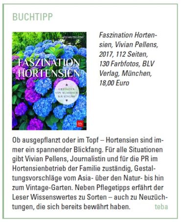 Buchgeschichten über „Faszination Hortensien“