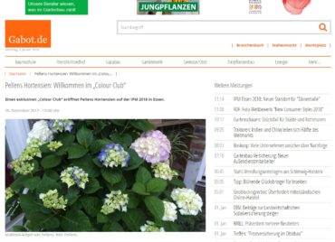 IPM 2018: So wurden wir vorgestellt