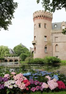 Schloss Moyland Hortensien