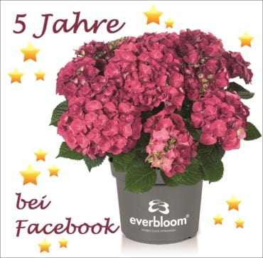 5 Jahre Everbloom bei Facebook