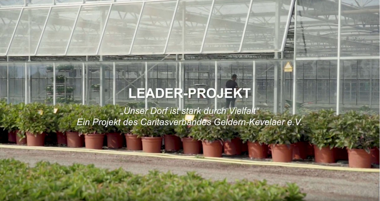 Film Leader-Projekt Integration