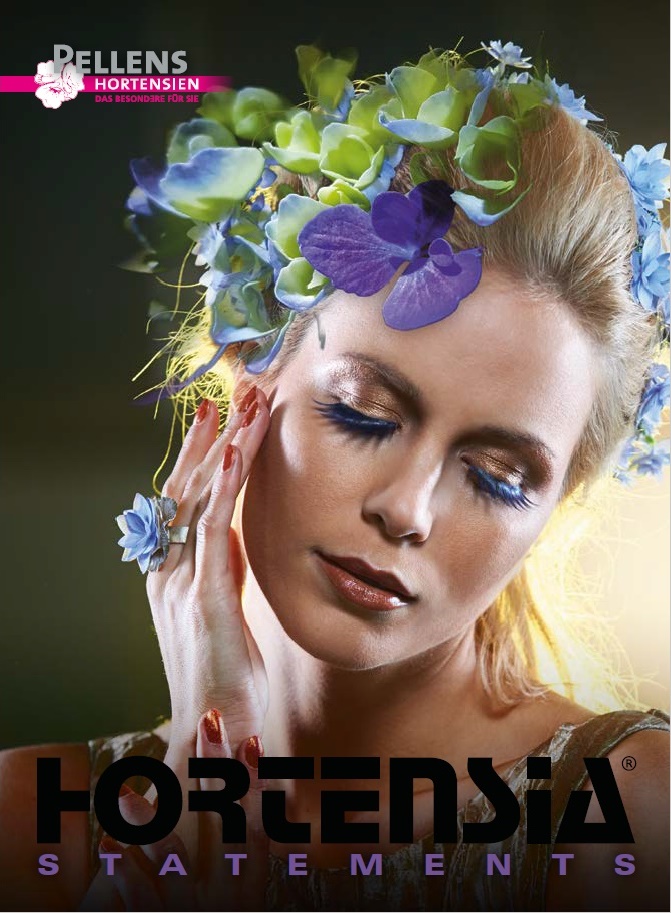 Teaser Katalog Hortensia Statements Teaser Katalog Hortensia Statements