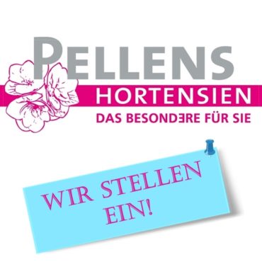 Wir stellen ein