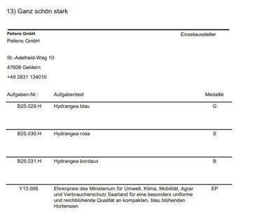 Honorary award from the Saarland Ministry of the Environment