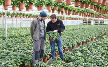 Digitaler Elternabend über Grüne Berufe