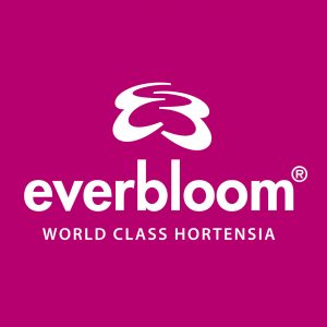 Logo Everbloom