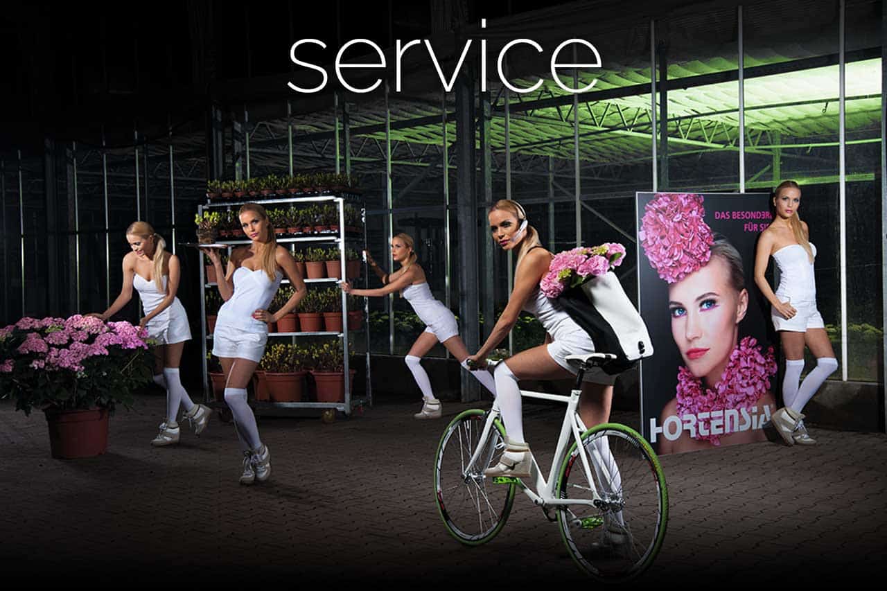 Service