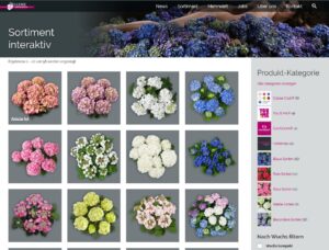 Screenshot neue Sortimentsliste Pellens Hortensien Webseite 2024
