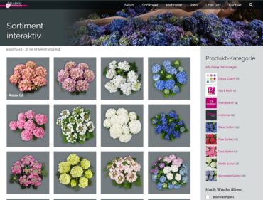 New: Interactive assortment list