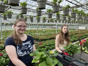 Zwei Mädchen im Gartenbau Girls' Day Hortensien