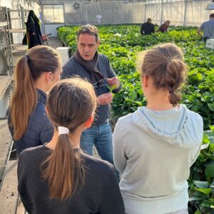Girls' Day 2025 Schülertag Schülerinnen Praktikum Pellens Hortensien