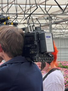 WDR Fernsehn Pellens Hortensien Minijobs Arbeitsmarkt