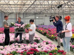 WDR Fernsehn Pellens Hortensien Minijobs Arbeitsmarkt